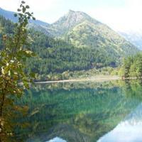 專注入境旅游業務，打造卓越旅行體驗